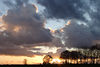 Sonnenuntergang unter Wolken dramatische Lichtstimmung Naturfoto Bume Horizont Gegenlicht