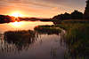 Sonnenuntergang ber See Schilf-Inseln Wasserlandschaft Romantik Naturbild Abendstille