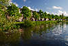 Frhling in Amsterdam Allee grne Bume am Fluss Wasser Landschaft Bilder