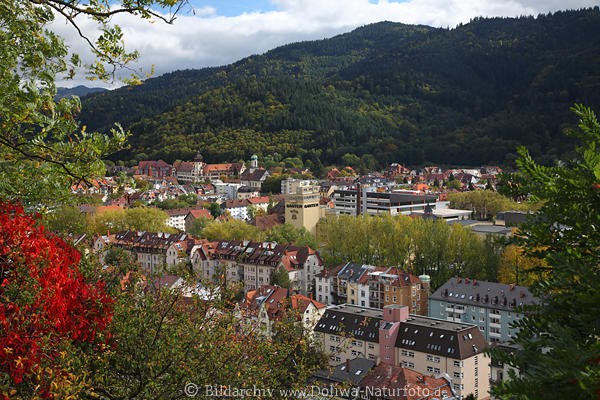 Freiburg Wiehre Bergpanorama Dcherlandschaft