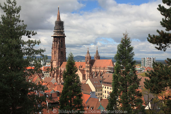 Mnster Kathedrale von Freiburg im Breisgau gotisches Kirchengebude Schwarzwald Attraktion