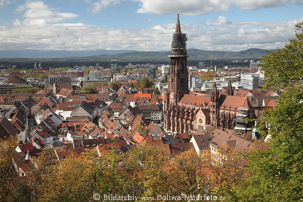 Freiburg Altstadt Panorama Fotografie mit Mnster Breisgau Sehenswrdigkeit Schwarzwald Urlaub