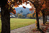 Hinterzarten Allee Herbstbltter Landschaft Foto Bume Grnwiese Kirche Bergblick