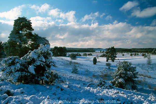 Winterlandschaft blau-weisse Stimmung Naturfoto Winterkleid