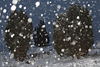100071_Winterlandschaft Schneefall-Romantik Naturbild Schneeblle Flocken ber Strucher