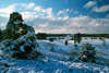 Winterlandschaft blau-weie Stimmung Naturfoto Wolken Bume Winterkleid