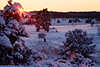 Sonnenuntergang Winterlandschaft Romantik Naturbilder Schnee roter Sonnenstern Strahlen Horizont