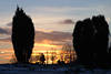 Bume Winterbild in Gegenlicht rotgelb Himmel Stimmung nach Sonnenuntergang Naturfoto