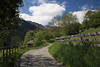 1202208_Gnoppnitzer Dorfbergweg Foto Wandern in Alpenlandschaft grne Naturoase Kreuzeckgruppe Gipfelblick