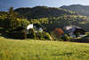 Bauernhof Dmpfe Husle Wohn-Idylle Morgenstimmung Foto Berghang-Grnwaldwiese
