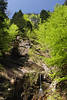 Steilhang Bregenzerwald Frhling Naturfoto Berghang Grnfrische Bume Naturbild