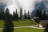 Hochalmweide Grnoase Kuhwiese Htte Stlle vor Nebelschwaden im Zillertal Naturbild