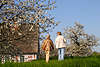 50330_ Frauenpaare Foto auf Deich spazieren gehen, Altes Land Obstbume, Kirschblte Bild