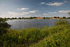 108472_Stiepelse am Wasser Elbufer Elbe grne Flulandschaft Naturfoto