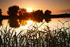 108587_Elbe Romantik Sonnenuntergang ber Fluufer Wasserlandschaft Naturfoto