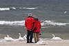 41909_Senioren Paar umarmt am Meer Ostseestrand Bild zwischen Schwänen vor Wellen im Wind, Mann & Frau