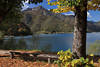 LedroSee Herbst Naturfoto Bltter Laub um Baum Uferbank Berggipfel Wasserblick