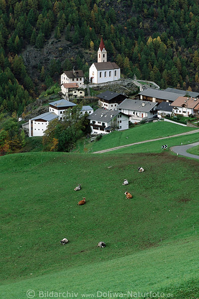 Katharinaberg Kirche Dorfhuser ber Viehweiden im grnen Schnalstal Wanderausflug in Sdtirol