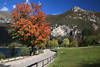 LedroSee Uferweg Herbstfarben Foto unter Cima dOro Alpengipfel ber Via al Lago Grnwiese