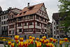 St. Gallen Fachwerkhusern hinter Tulpen Rabatten in Schweizer Kantonhauptstadt Stadtzentrum