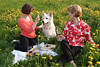Picknick mit Hund auf Frühlingswiese Girls Frauen bei Naturblüte