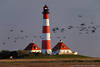 Poster von Leuchtturm Westerhever Landschaft mit Zugvögel am Himmel