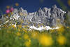 Alpen WilderKaiser Berge Wiesenblüte Felspanorama Gipfeln Frühling Romantik Naturbild