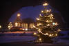Weihnachtsbaum Schnee-Nachtstimmung Winterromantik